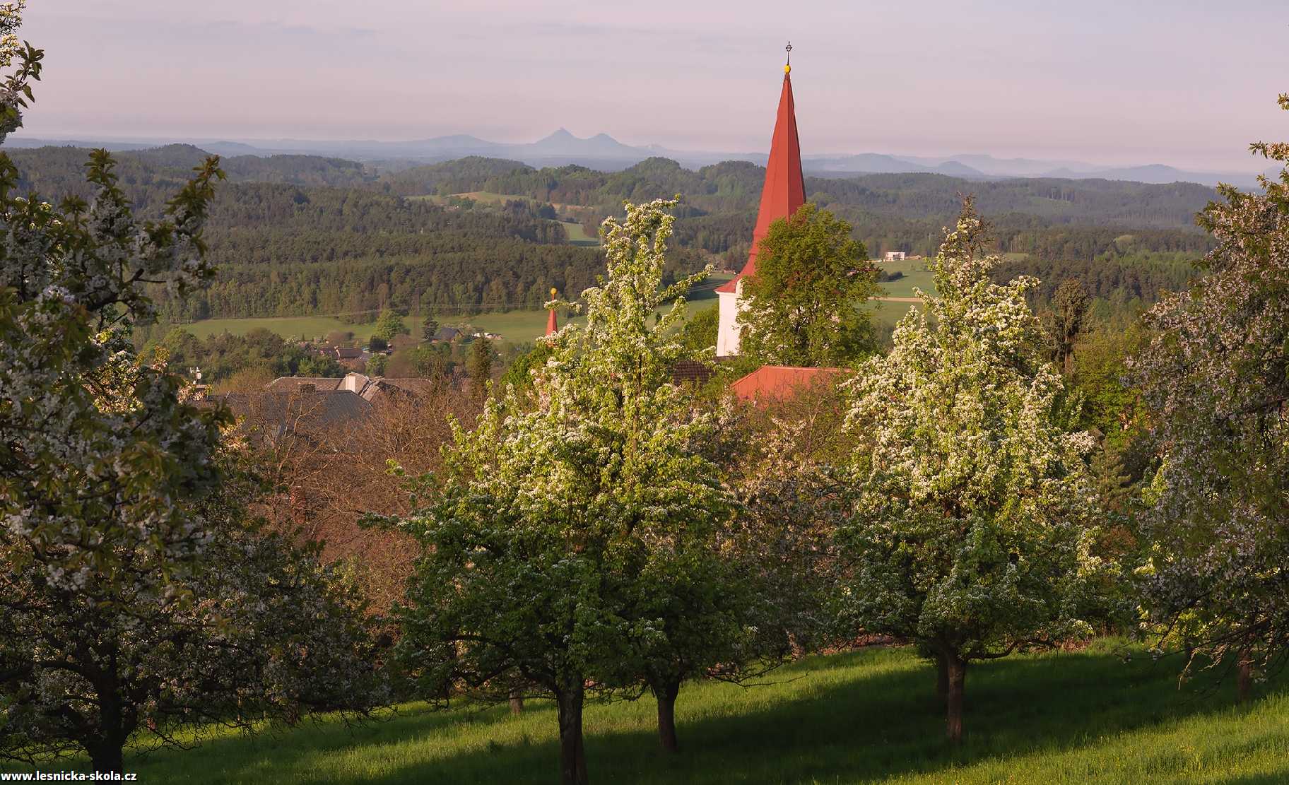 Ráno v sadu - Foto Jaroslava Jechová 0522 (1)