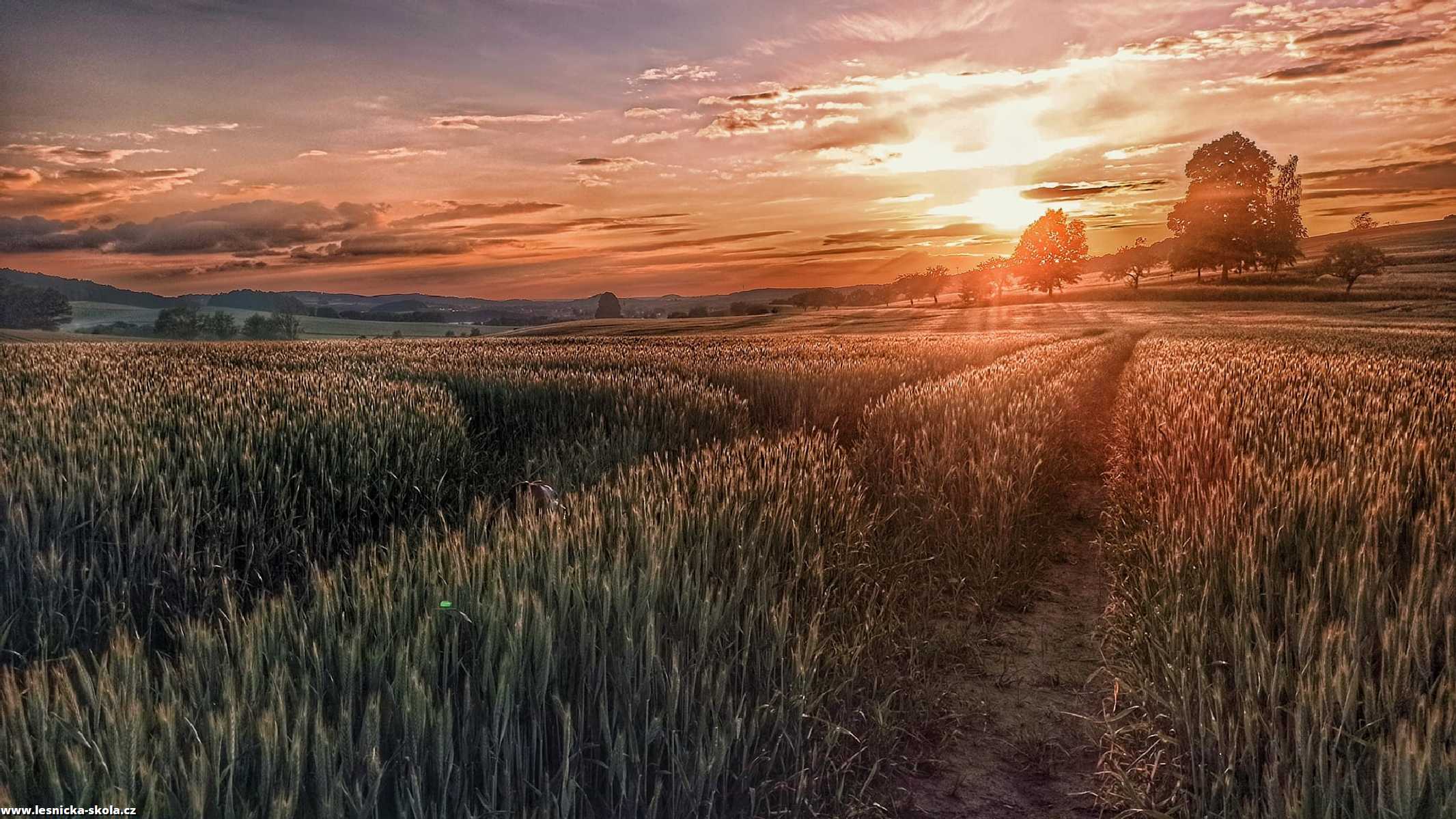 Při západu slunce - Foto Adriana Simandlová 0522