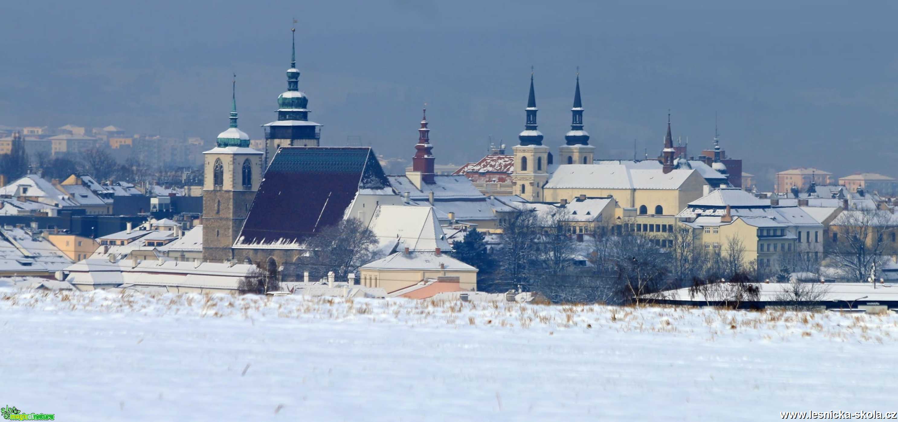 Bílo na Vysočině - Foto Ladislav Jonák 1121