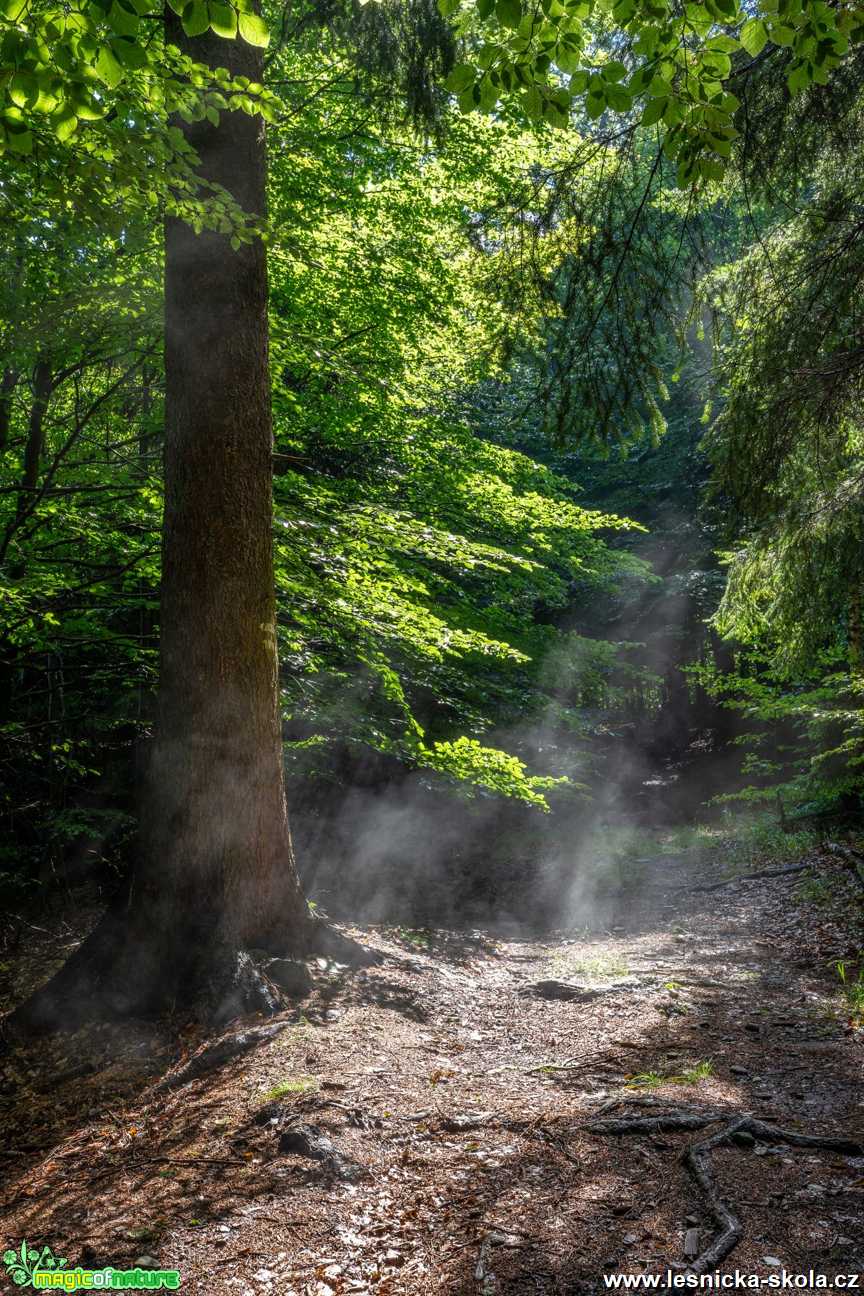 Pod Klíčem - Foto Petr Germanič 0921