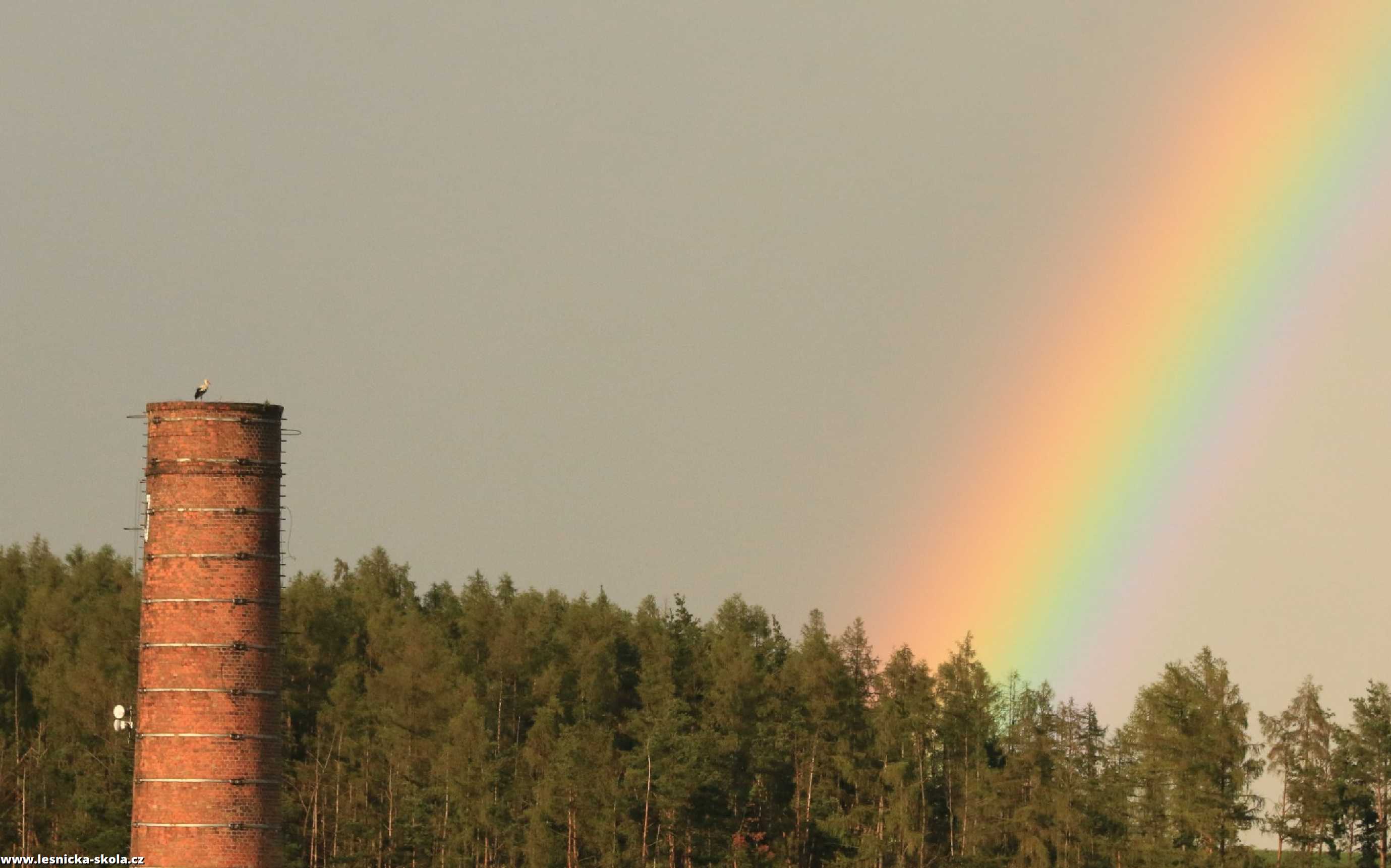 Čáp na Malberne a duha za lesem - Foto Ladislav Jonák 0722