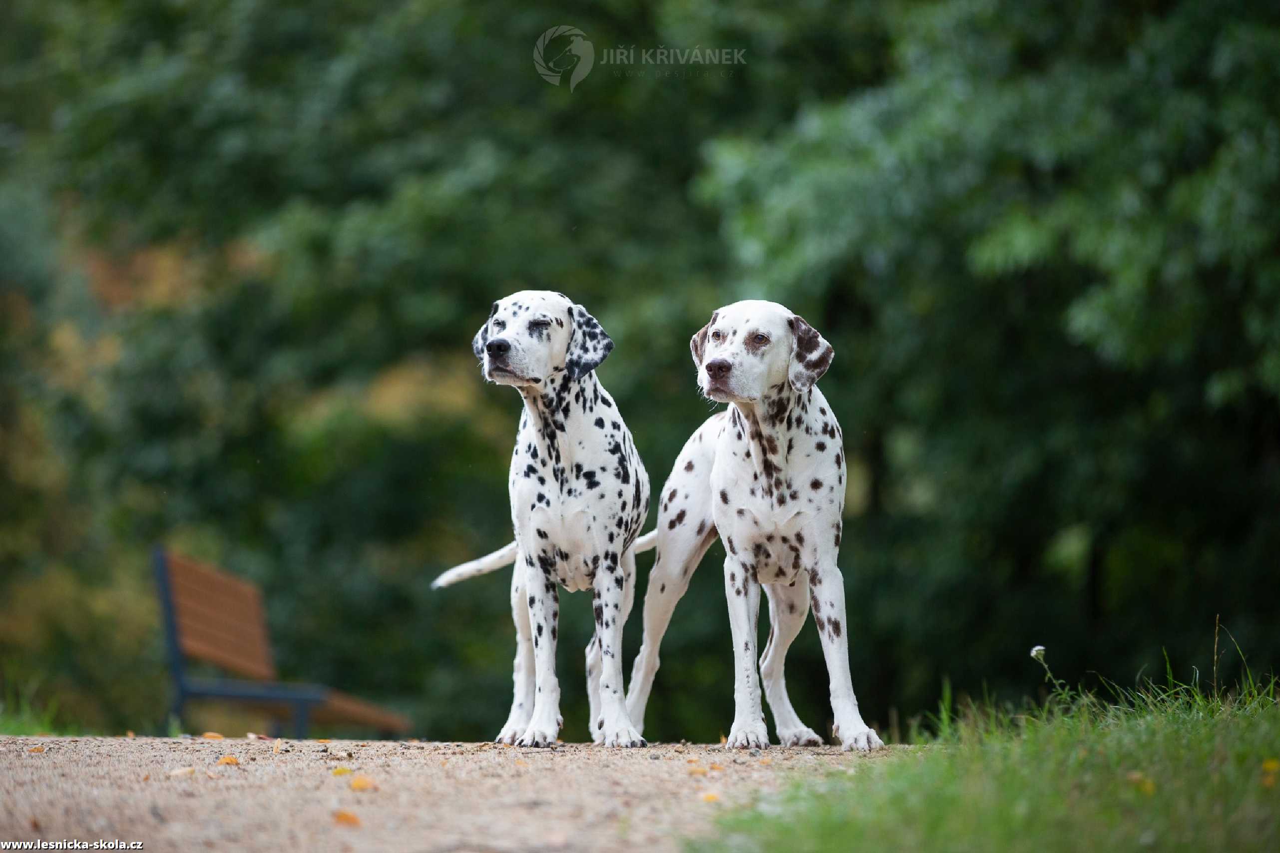 Fotografování na Šternberku - Foto Jiří Křivánek 0822 (1)