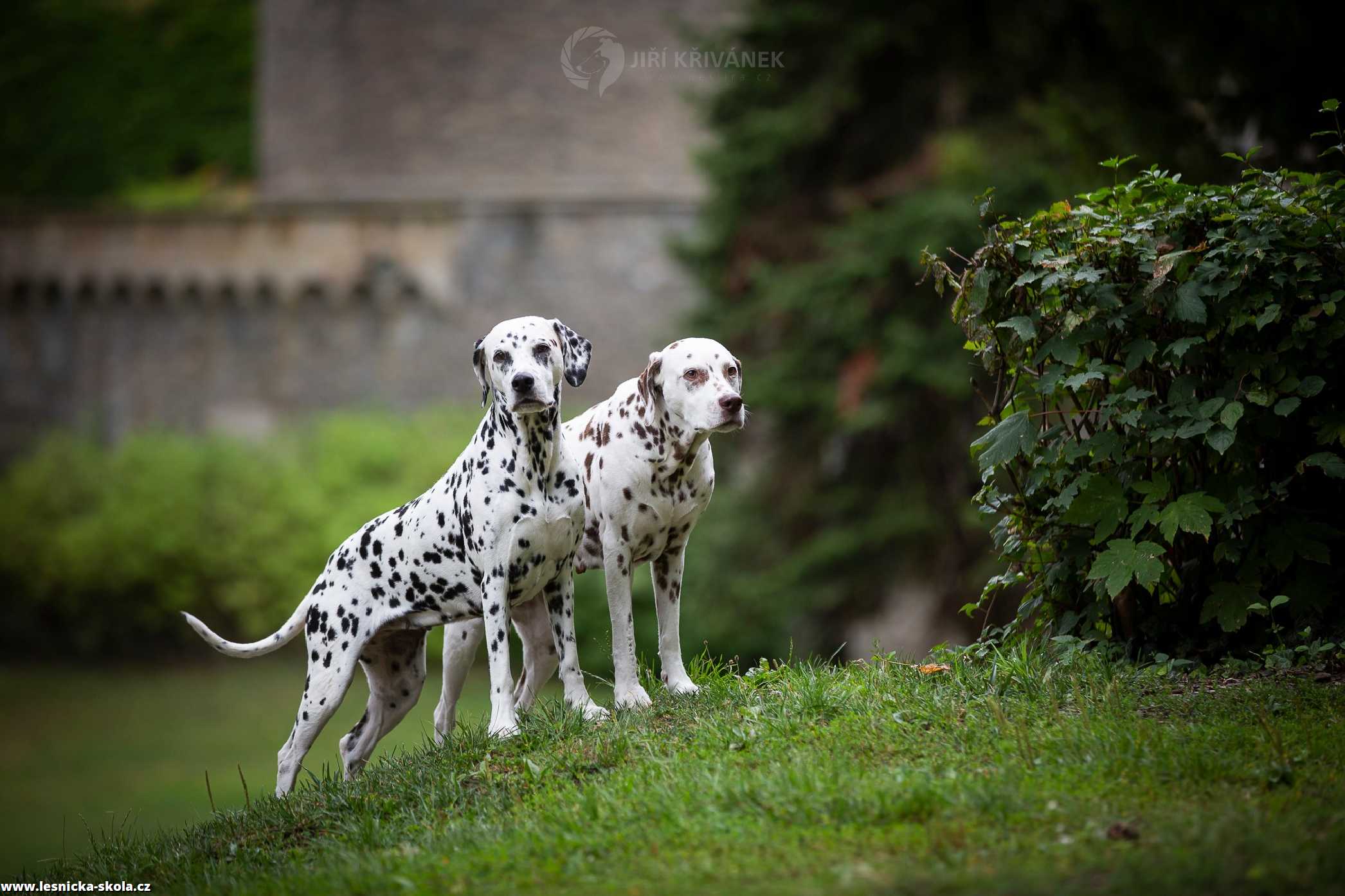 Fotografování na Šternberku - Foto Jiří Křivánek 0822 (4)