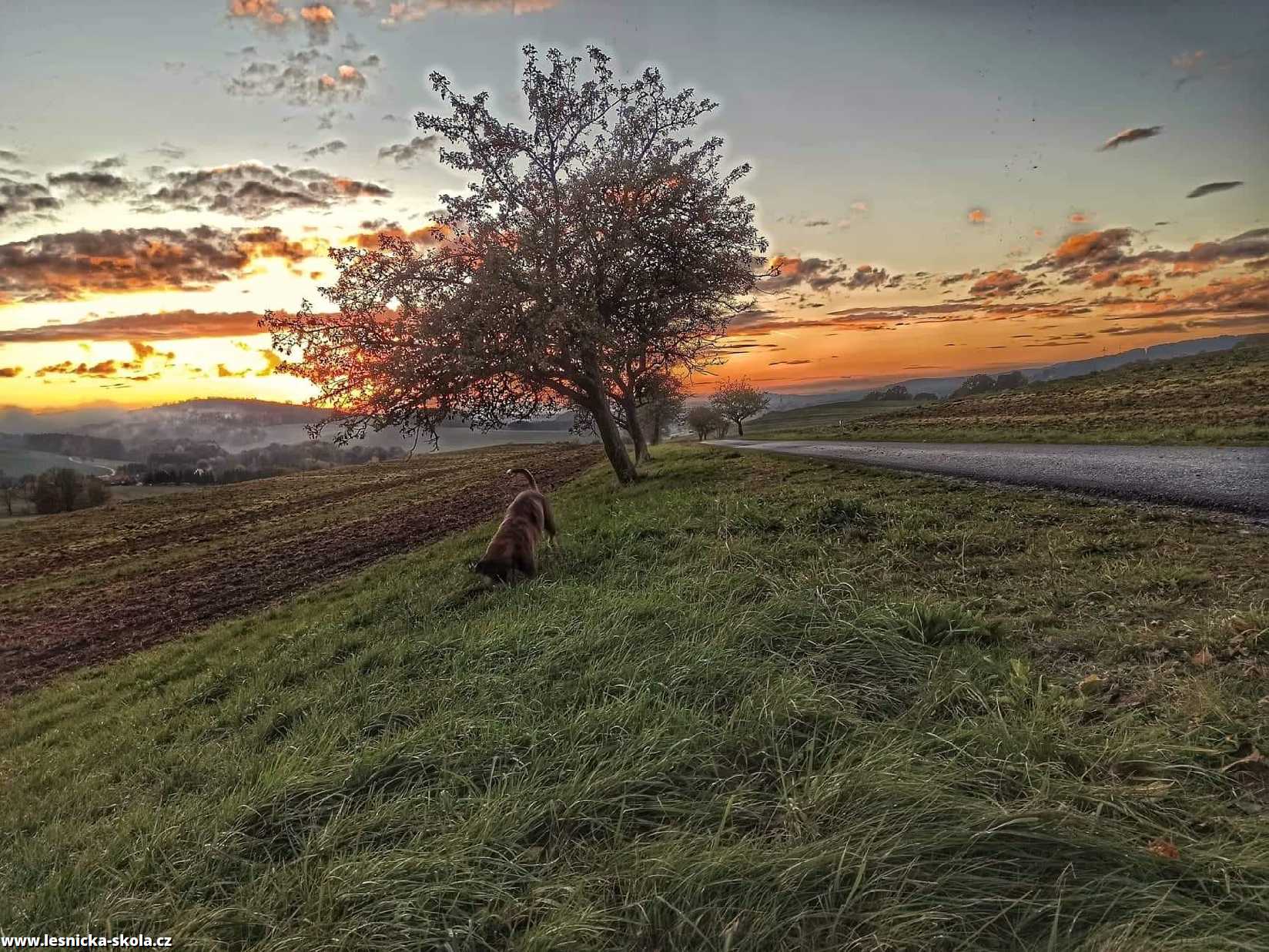 Toulky krajinou - Foto Adriana Simandlová 1022 (3)