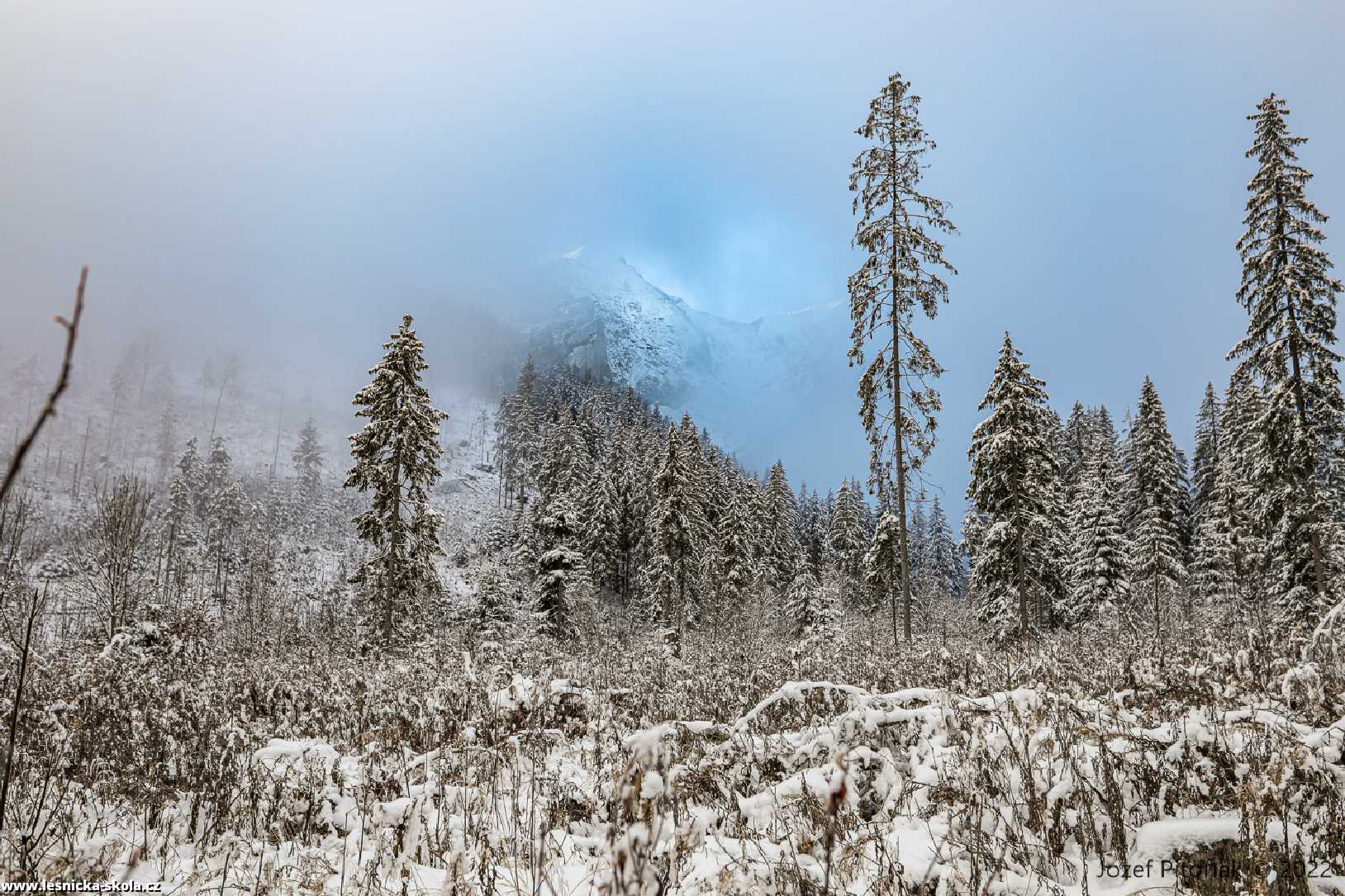 Zima se vrátila do slovenských hor - Foto Jozef Pitoňák 1122 (10)