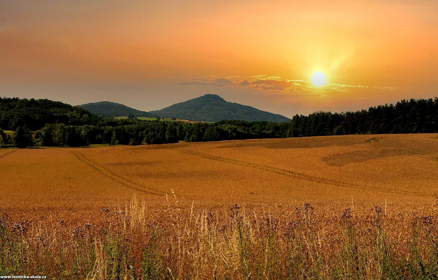 Kokořínská krajina ve zlaté - Foto Jaroslava Jechová 0722