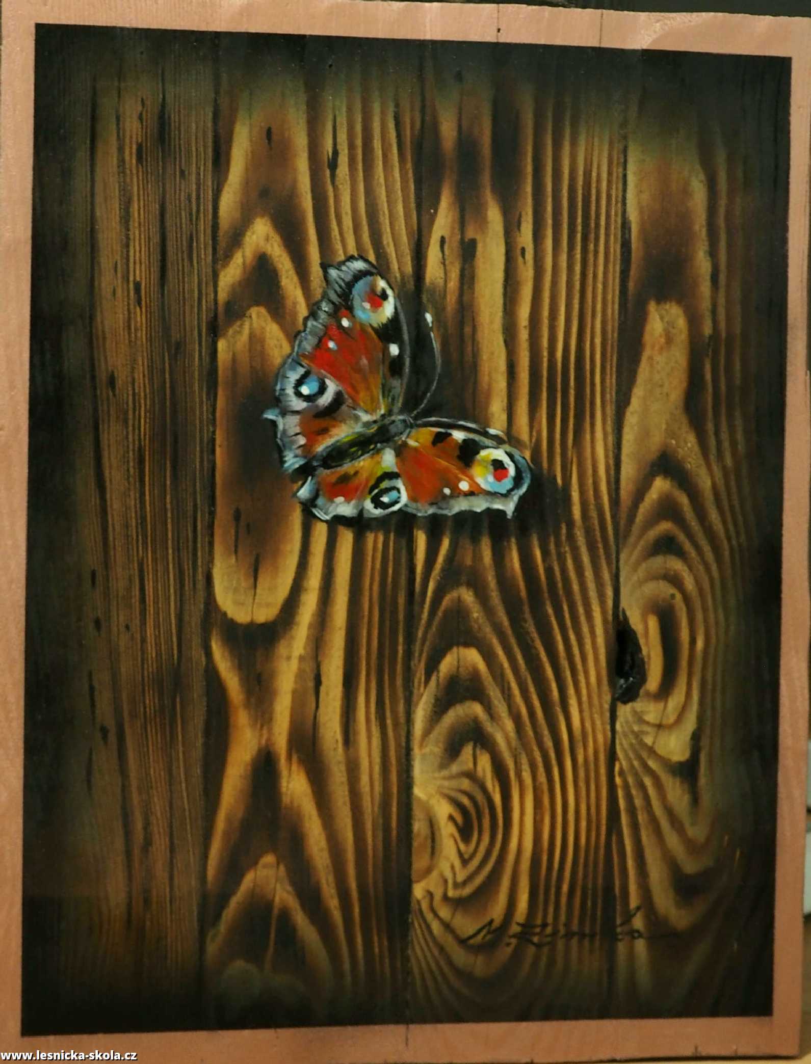 Motýl - malba na dřevě - Autor Marek Zimka 0123