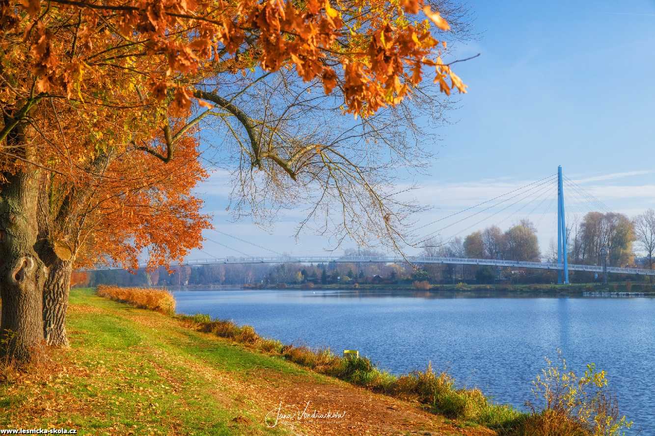 Lávka přes Labe - Čelákovice - Foto Jana Vondráčková 1022