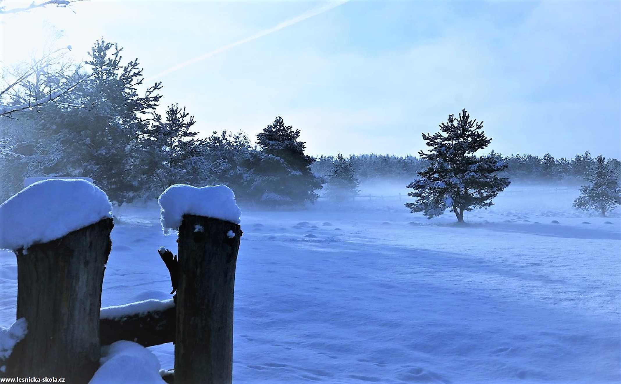 Zasněžené ráno - Foto  Marie Žďánská 0223