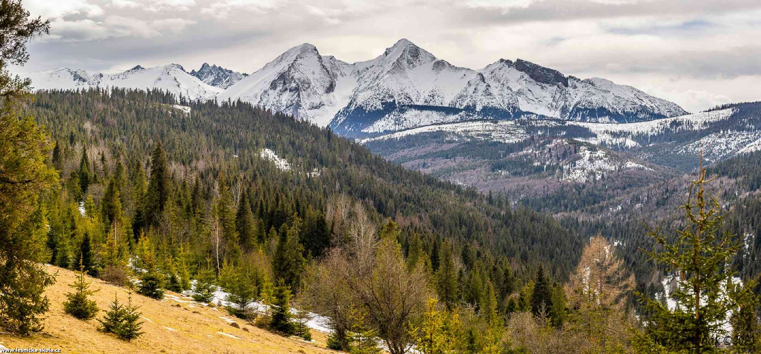 Předjarní obrázky ze slovenských hor - Foto Jozef Pitoňák 0323 (1)