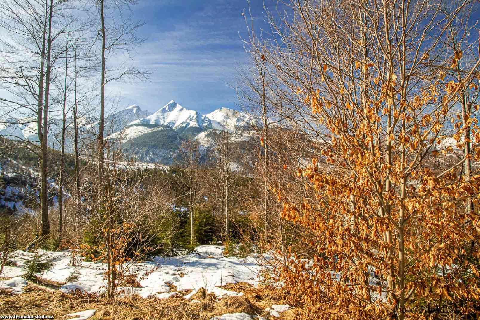 Předjarní obrázky ze slovenských hor - Foto Jozef Pitoňák 0323 (9)