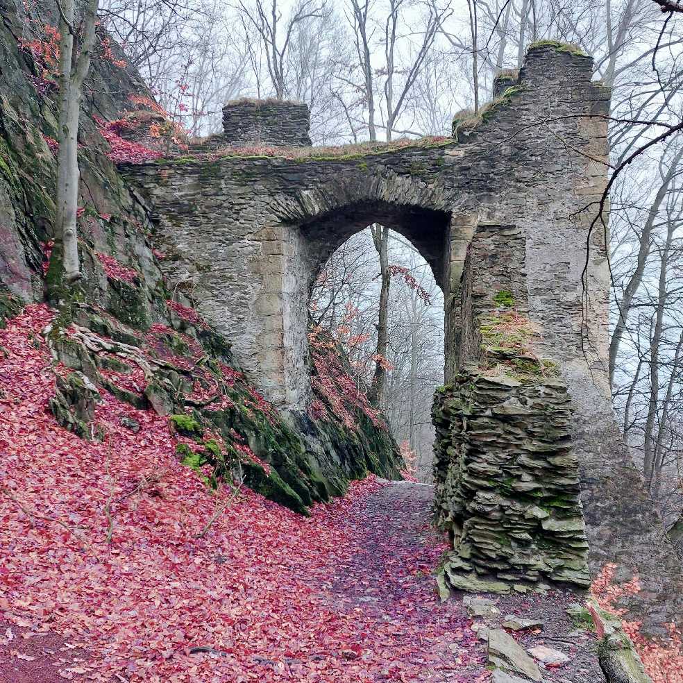 Cestou na Bezděz - Foto Robert Kopecký 0323