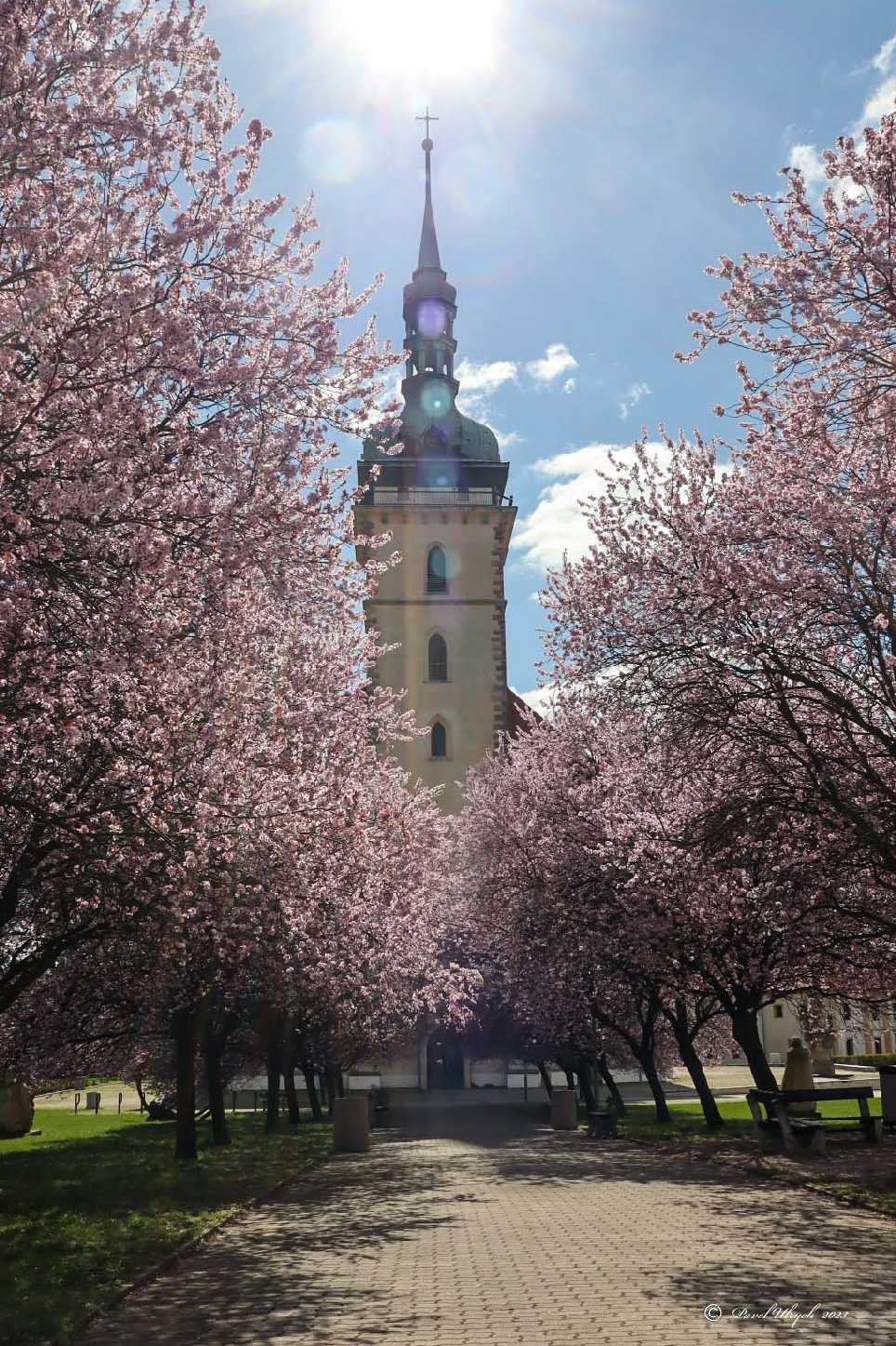 Kostel Nanebevzetí Panny Marie v Mostě - Foto Pavel Ulrych 0423