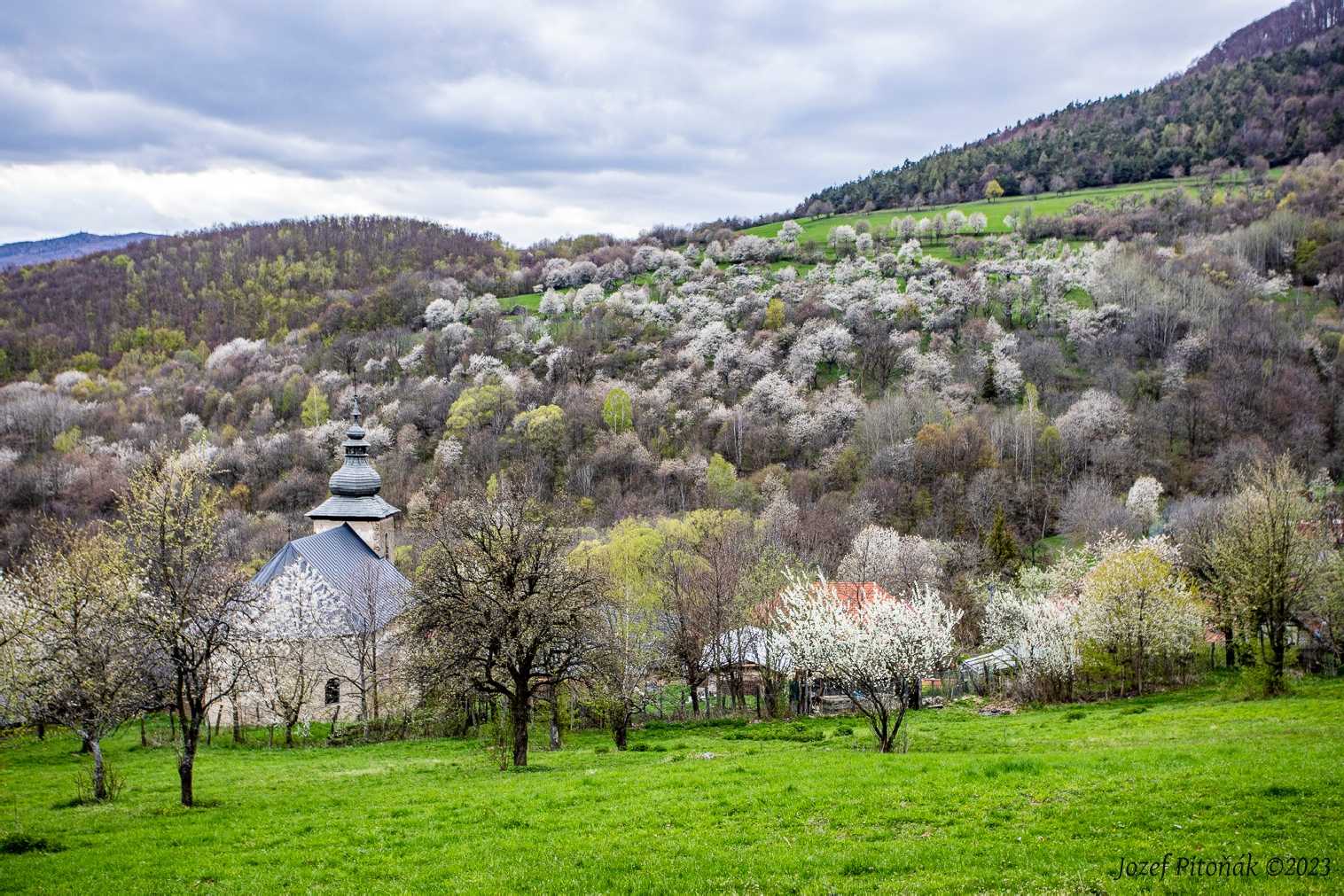 Jar na Brdárke - Foto Jozef Pitoňák 0523 (2)