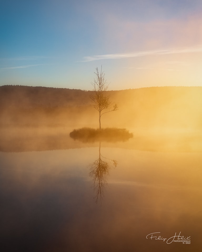 Bříza Chalupské slati - Foto Filip Holič 0523