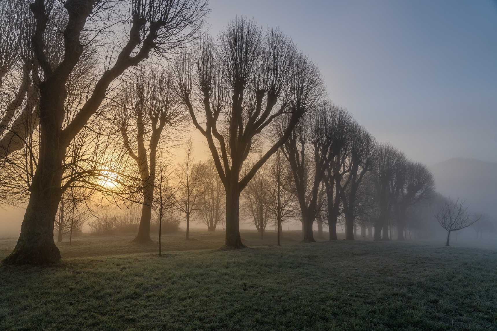 Sloupské svítání v mlhách - Foto Petr Germanič 0523 (3)