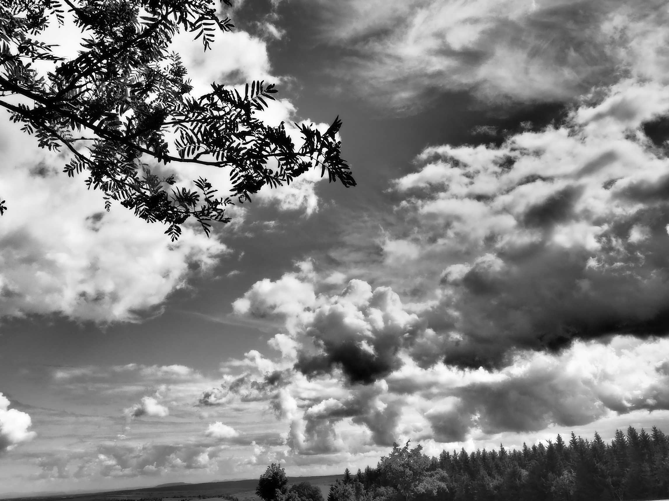 Krušnohorské letní mraky - Foto David Hlinka 0823 (3)