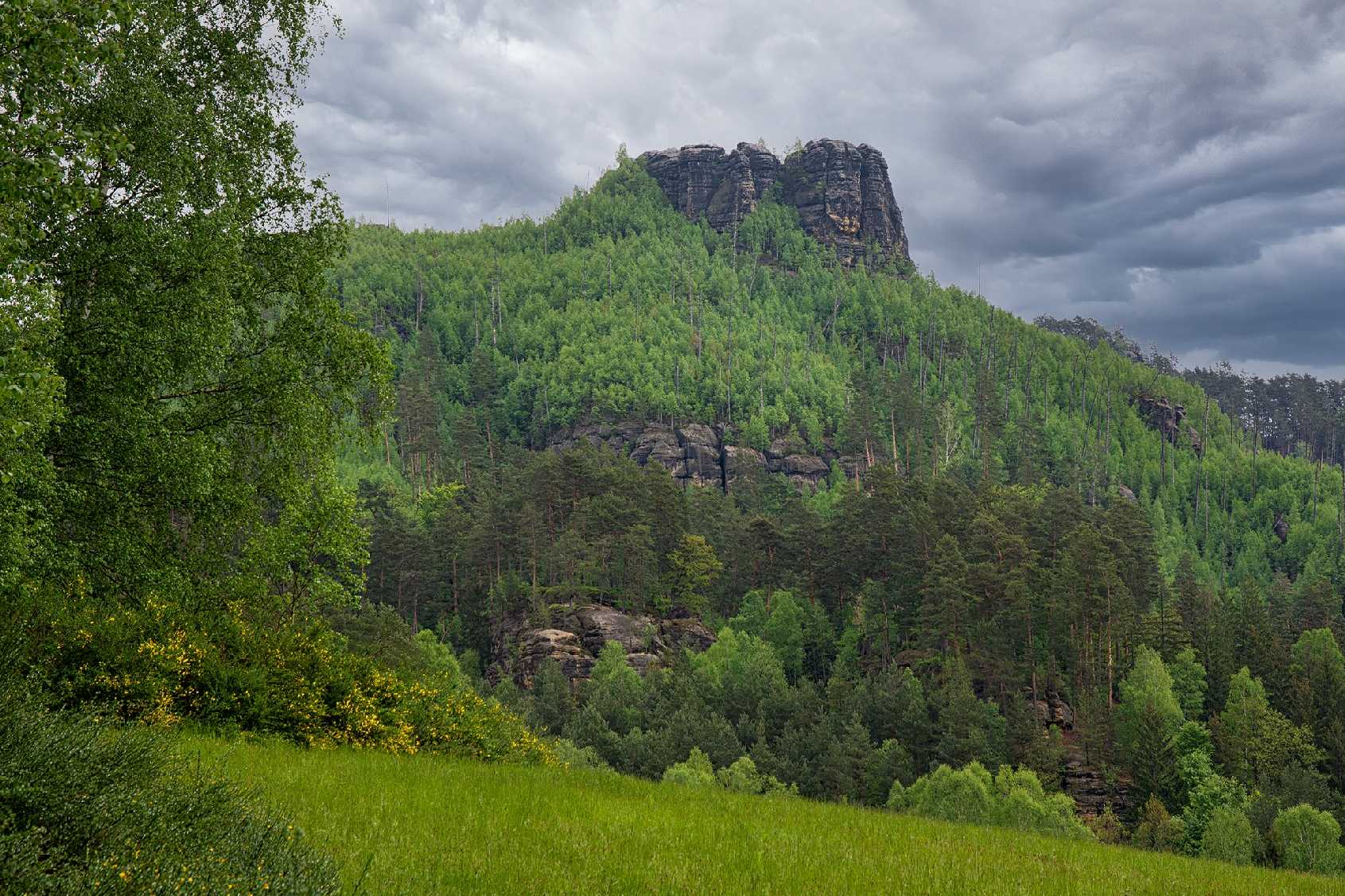 Jetřichovicko - Vilemínina stěna - Foto Jaroslava Jechová 0623 (1)