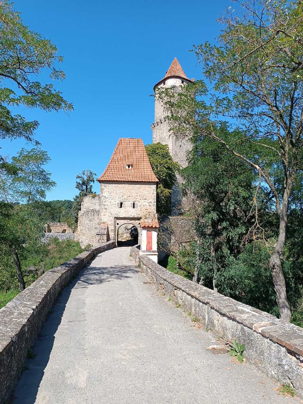 Zvíkov - Foto Ladislav Jonák 0923 (2)