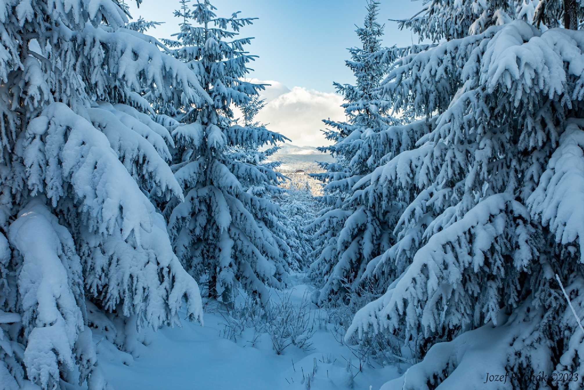 Prosincové hory - Foto Jozef Pitoňák 1223 (9)