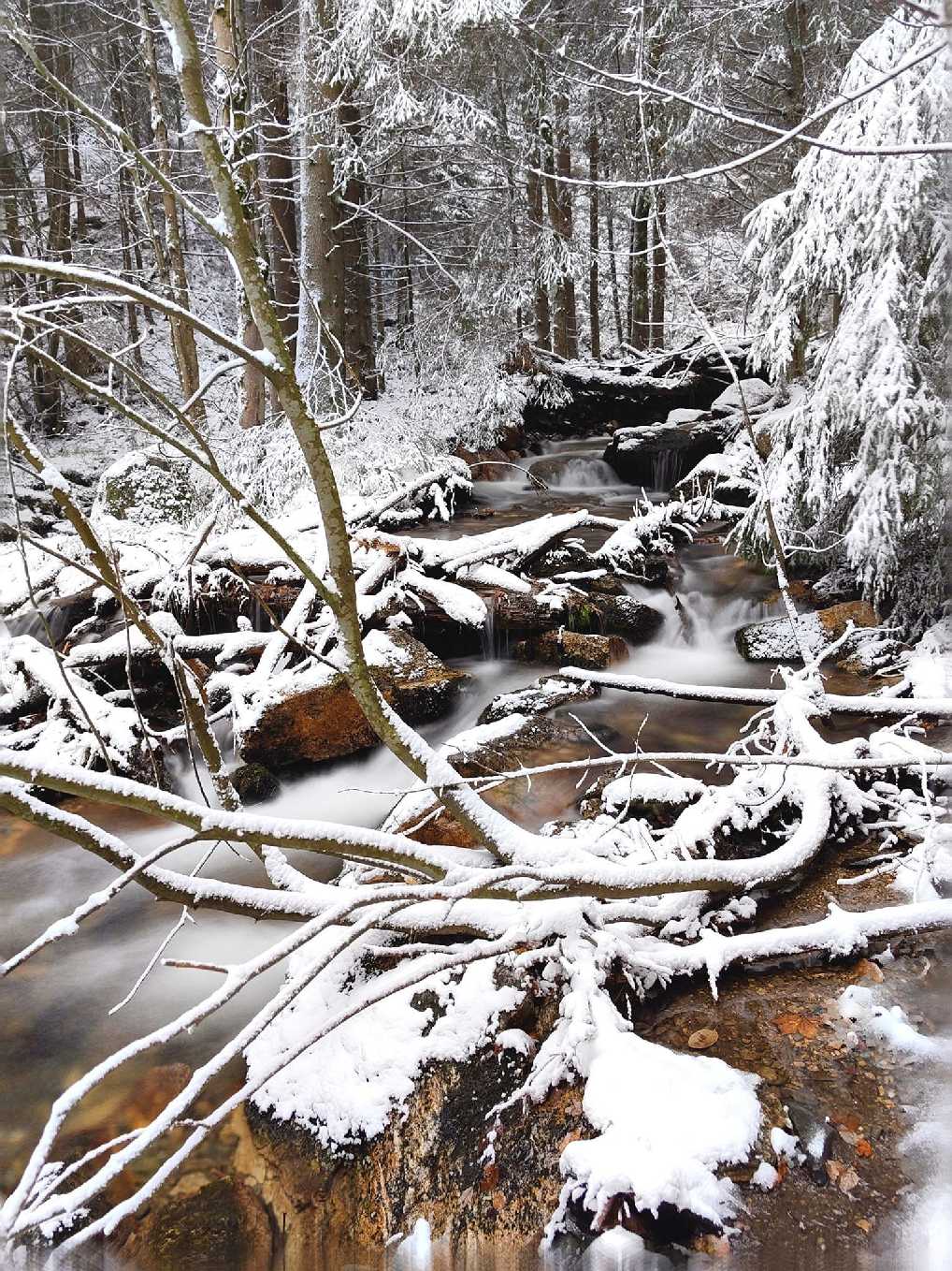 Bílá Opava - Foto Marie Vykydalová 1123 (3)