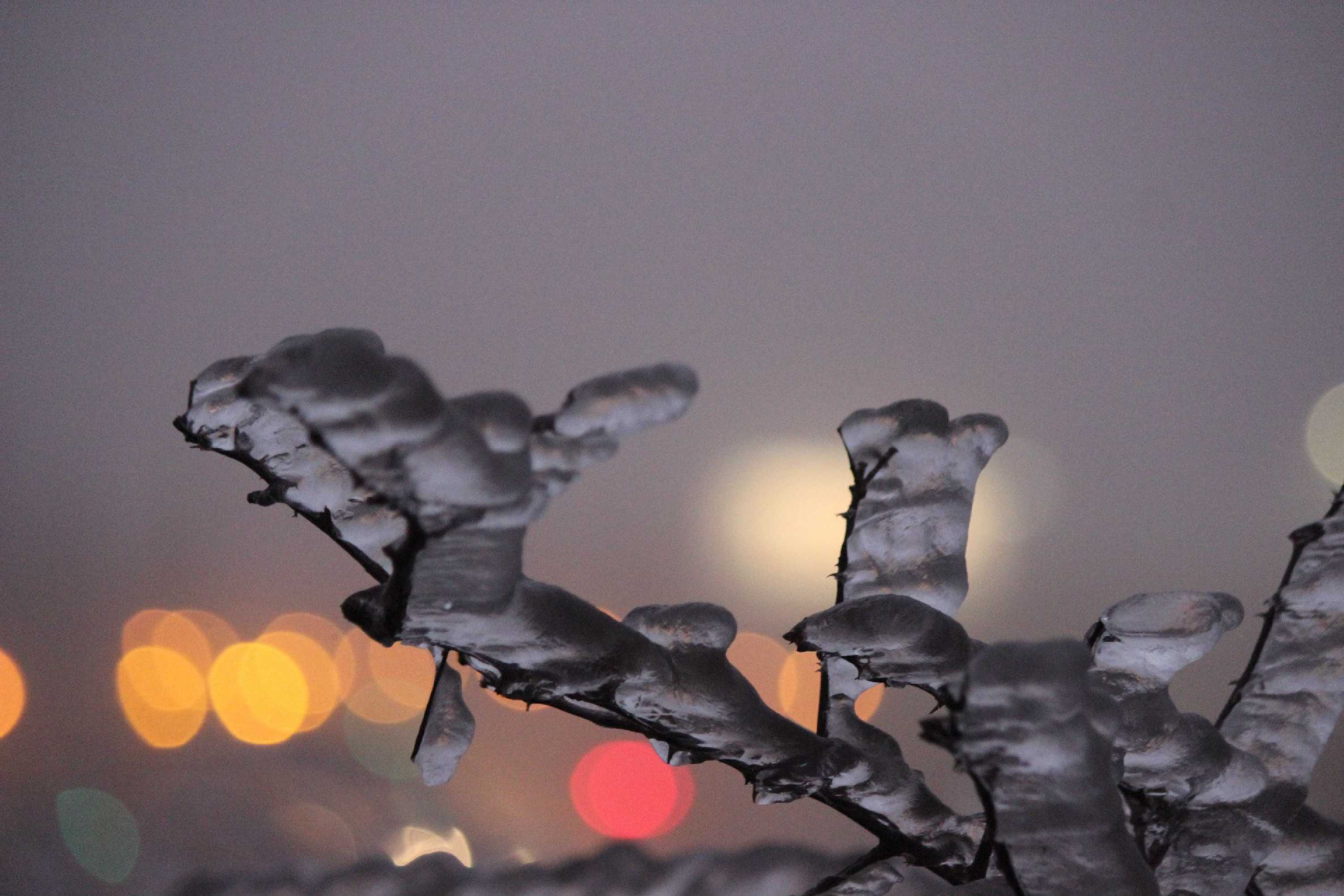 V ledovém království - Foto Ladislav Jonák 1123