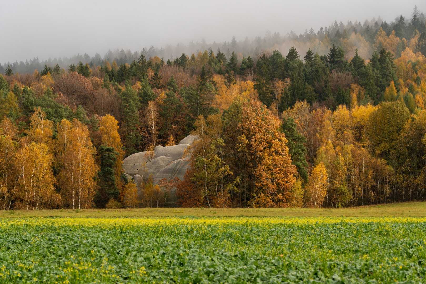 Za slony do Jitravy - Foto Petr Germanič 1123 (2)