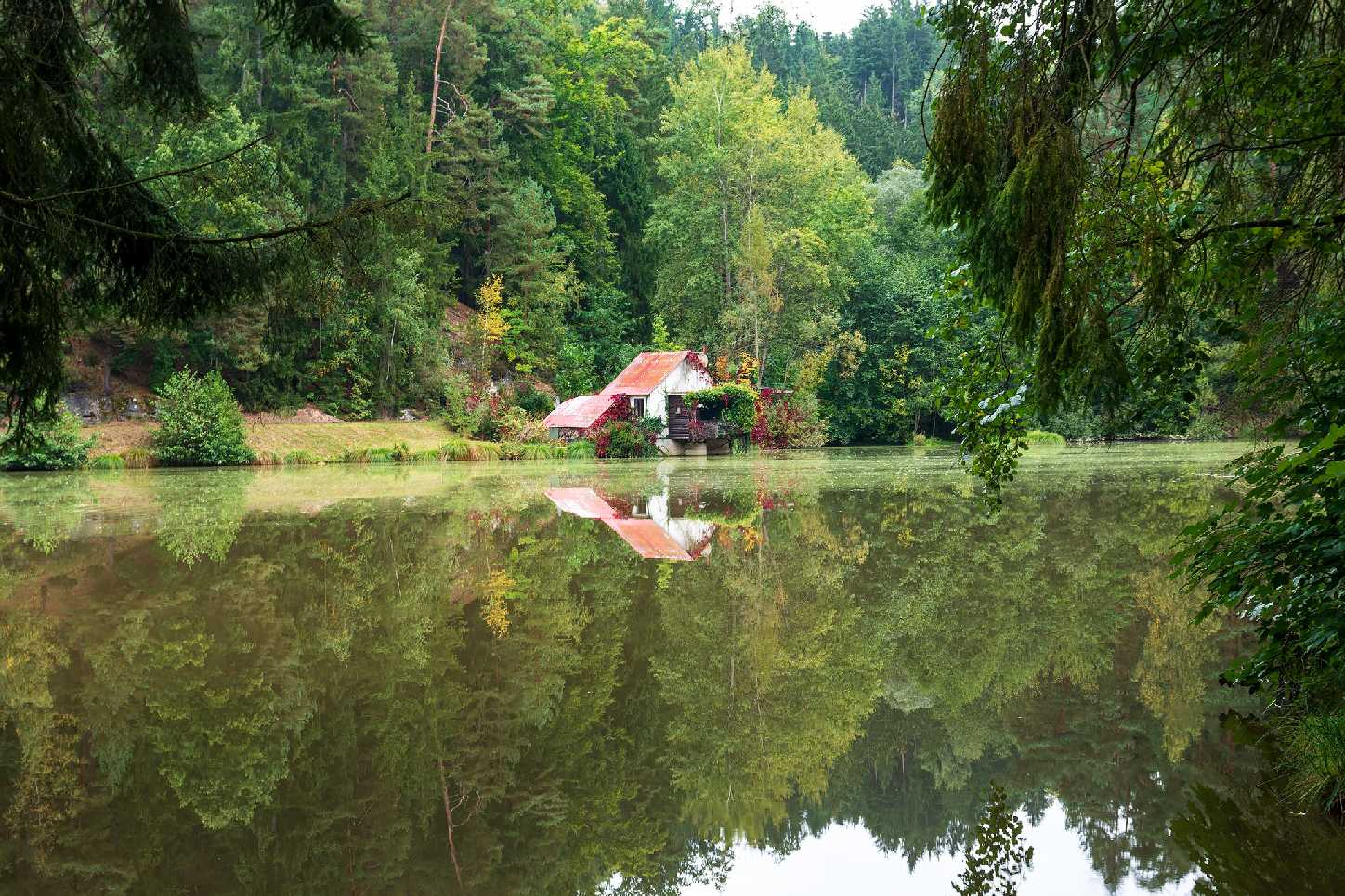 U rybníka - Foto Jaroslava Jechová 1023