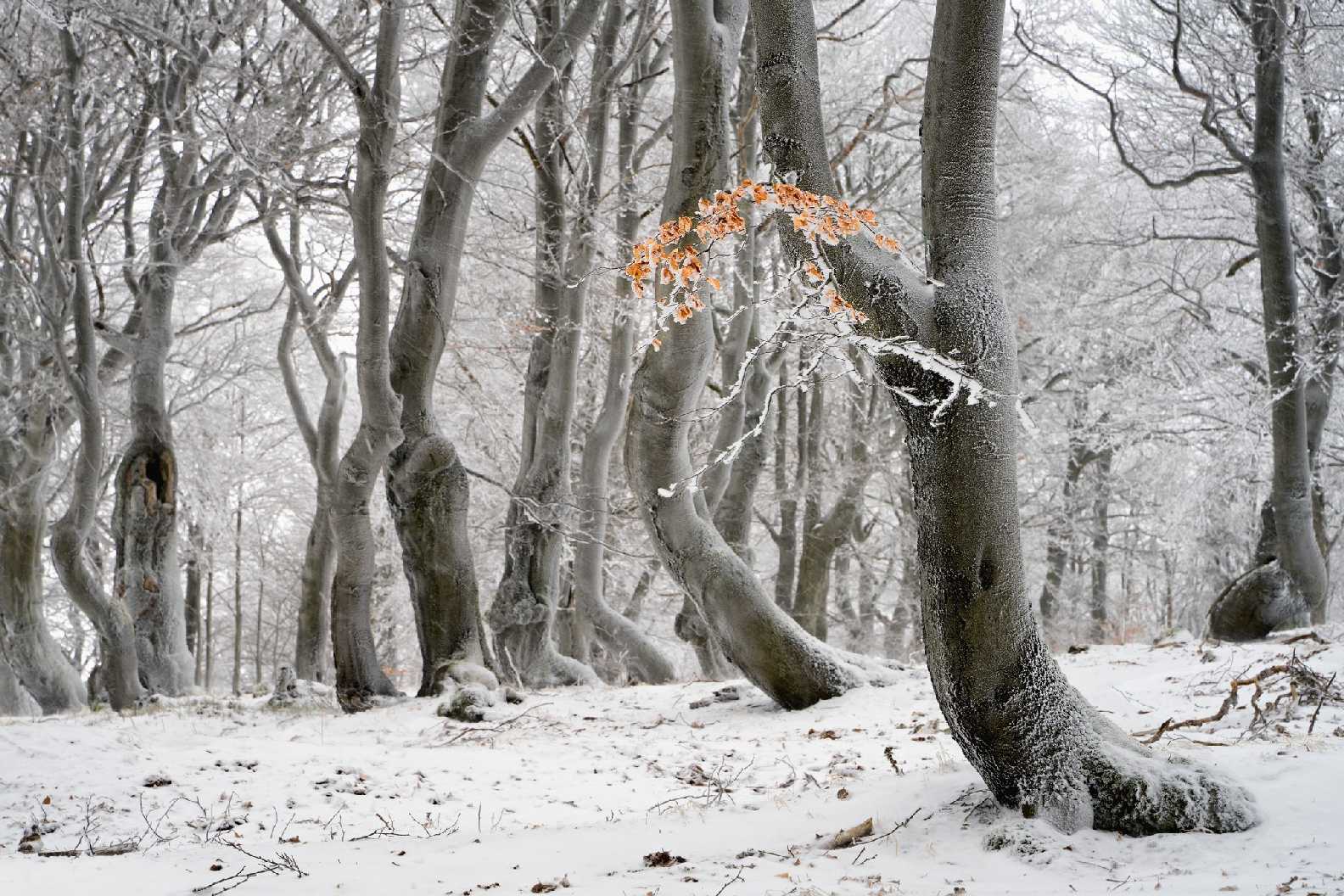 Bouřňák - Foto Jana Ježková 0124 (1)