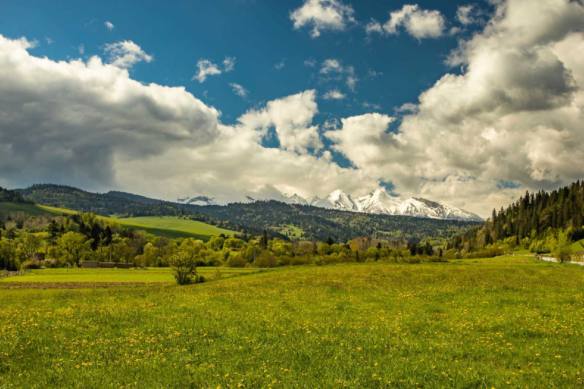 Zima ustoupila - Foto Jozef Pitoňák 0424 (1)
