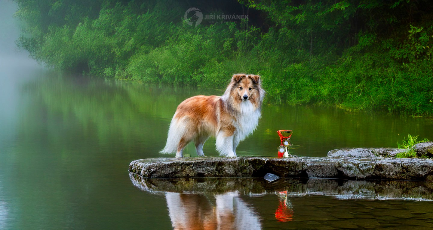 Krásný Garpíček - Foto Jiří Křivánek 0824
