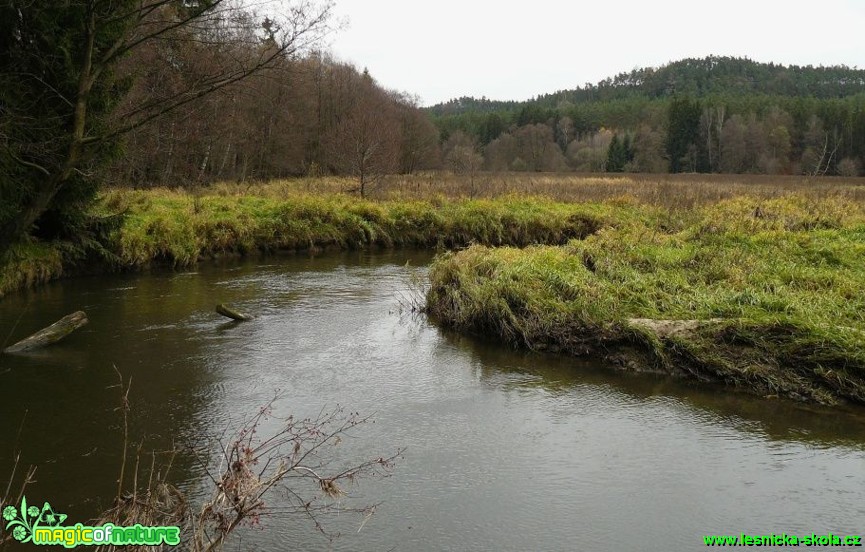 Meandr Ploučnice - Foto Pavel Stančík