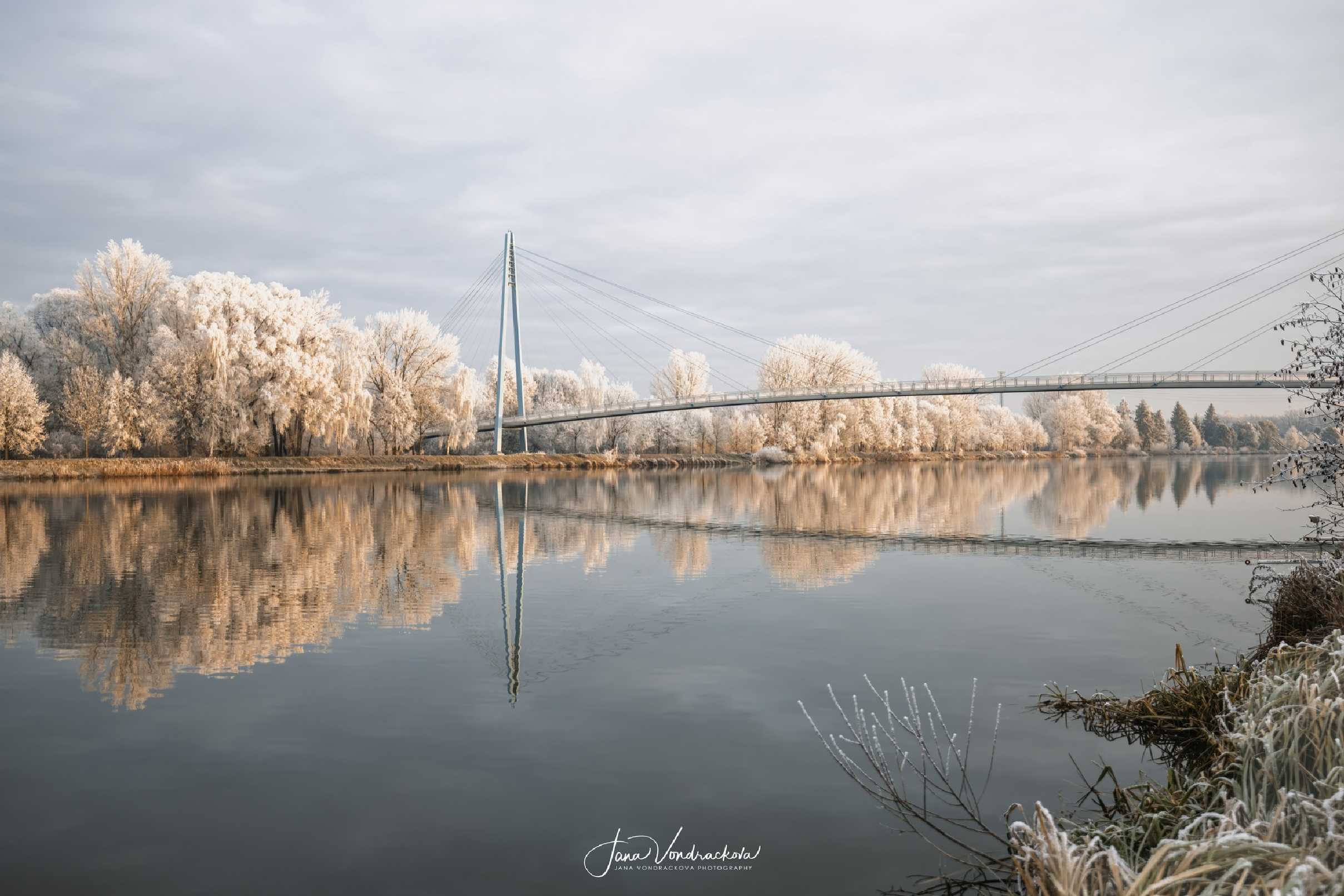 První ráno v roce 2025 - Foto Jana Vondráčková 0125