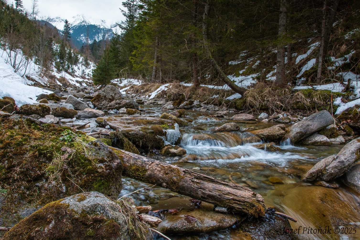 Na horském potoce - Foto Jozef Pitoňák 0225 (2)