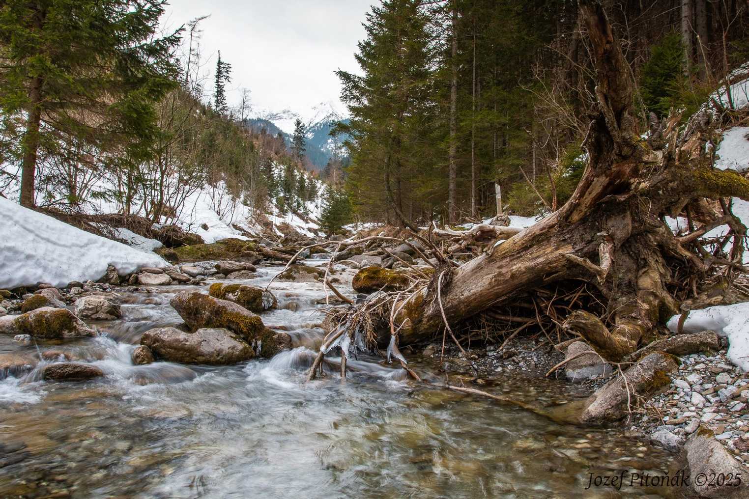 Na horském potoce - Foto Jozef Pitoňák 0225 (4)