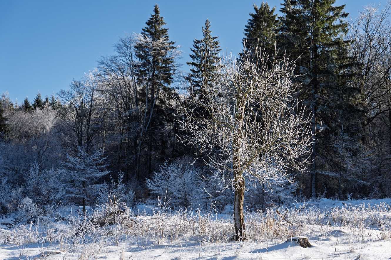 Mrazivé království - Foto Petr Germanič 0125 (2)