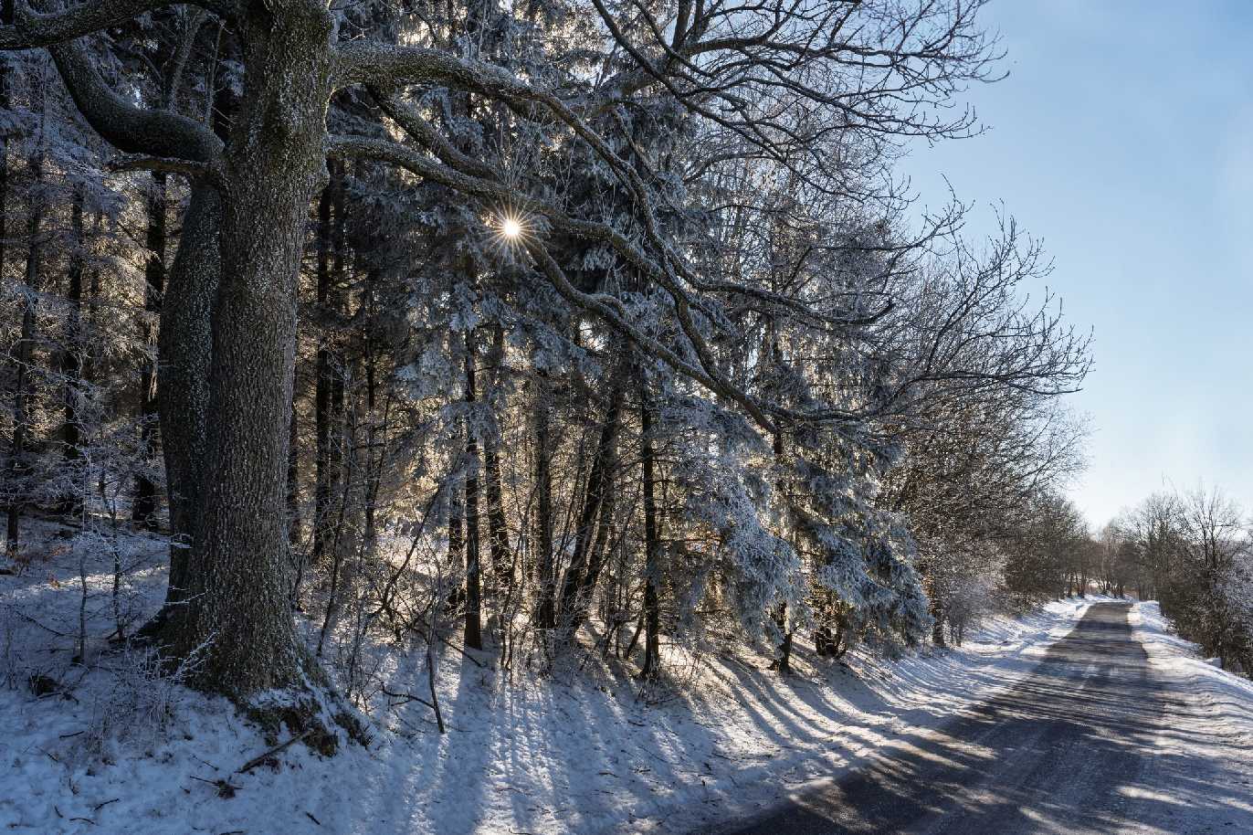 Mrazivé království - Foto Petr Germanič 0125 (3)