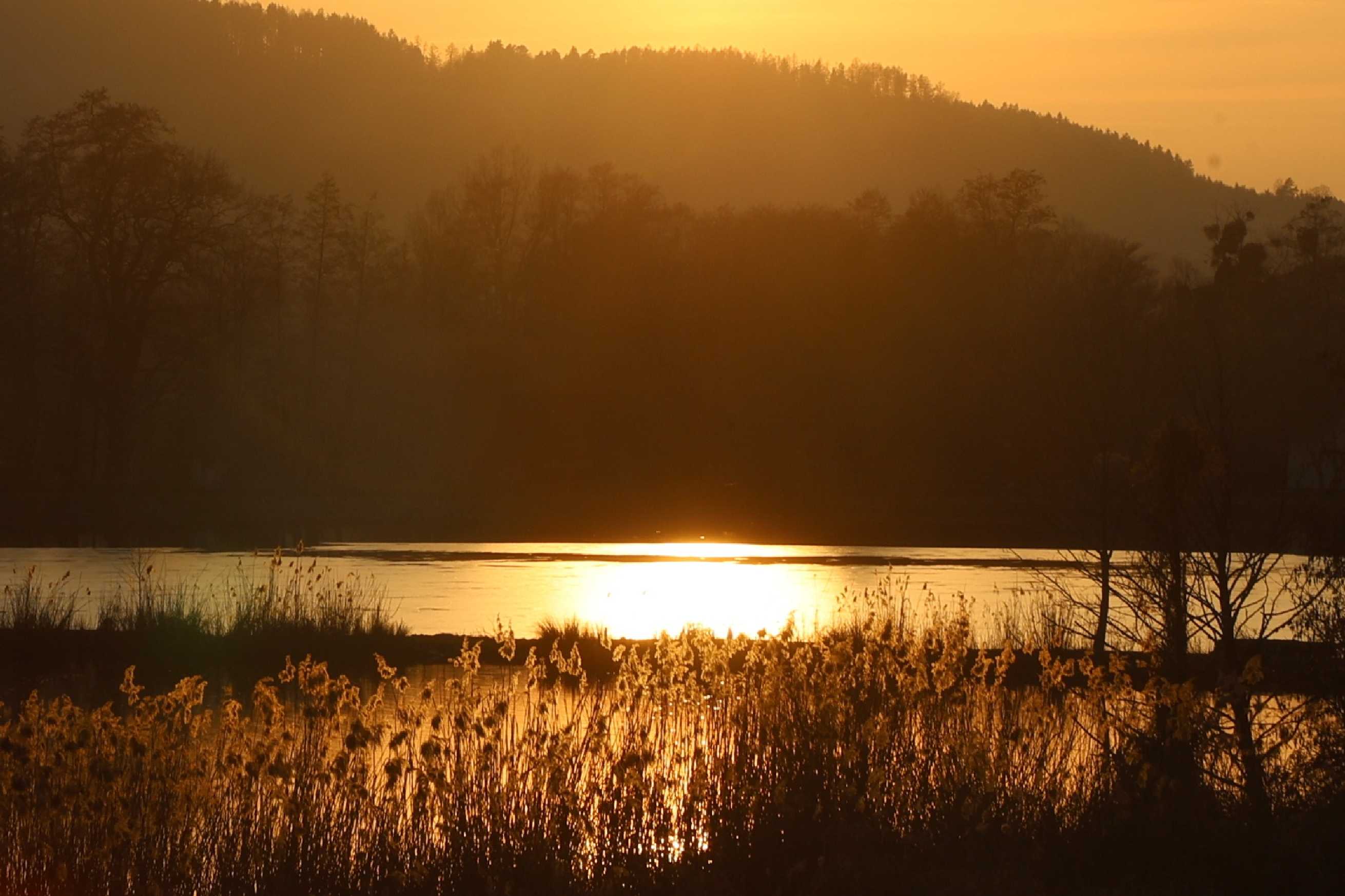 Březnový podvečer - Foto Ladislav Jonák 0325 (1)