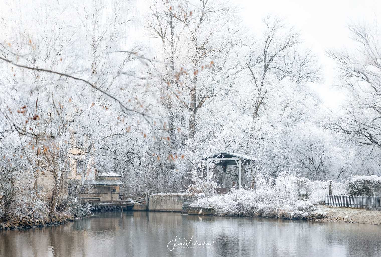 Zima v Čelákovicích - Foto Jana Vondráčková 0125