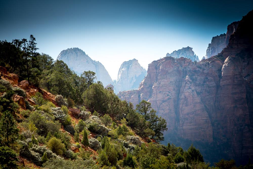 Zion NP - Foto Ladislav Hanousek 0325 (1)
