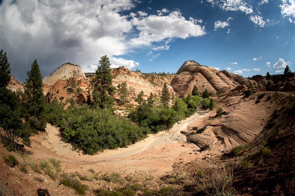 Zion NP - Foto Ladislav Hanousek 0325