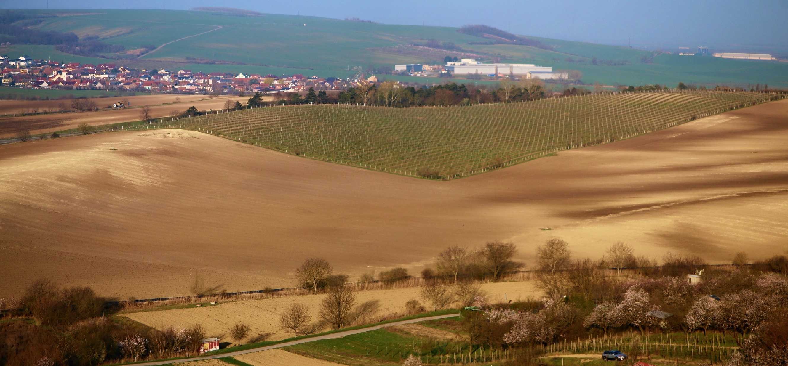 Okolí Hustopeče - Foto Ladislav Jonák 0325
