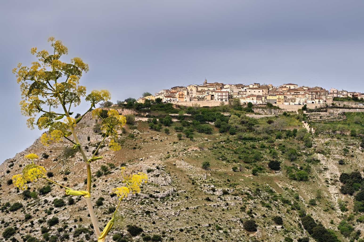 Rignano Garganico - Foto Jana Ježková 1024