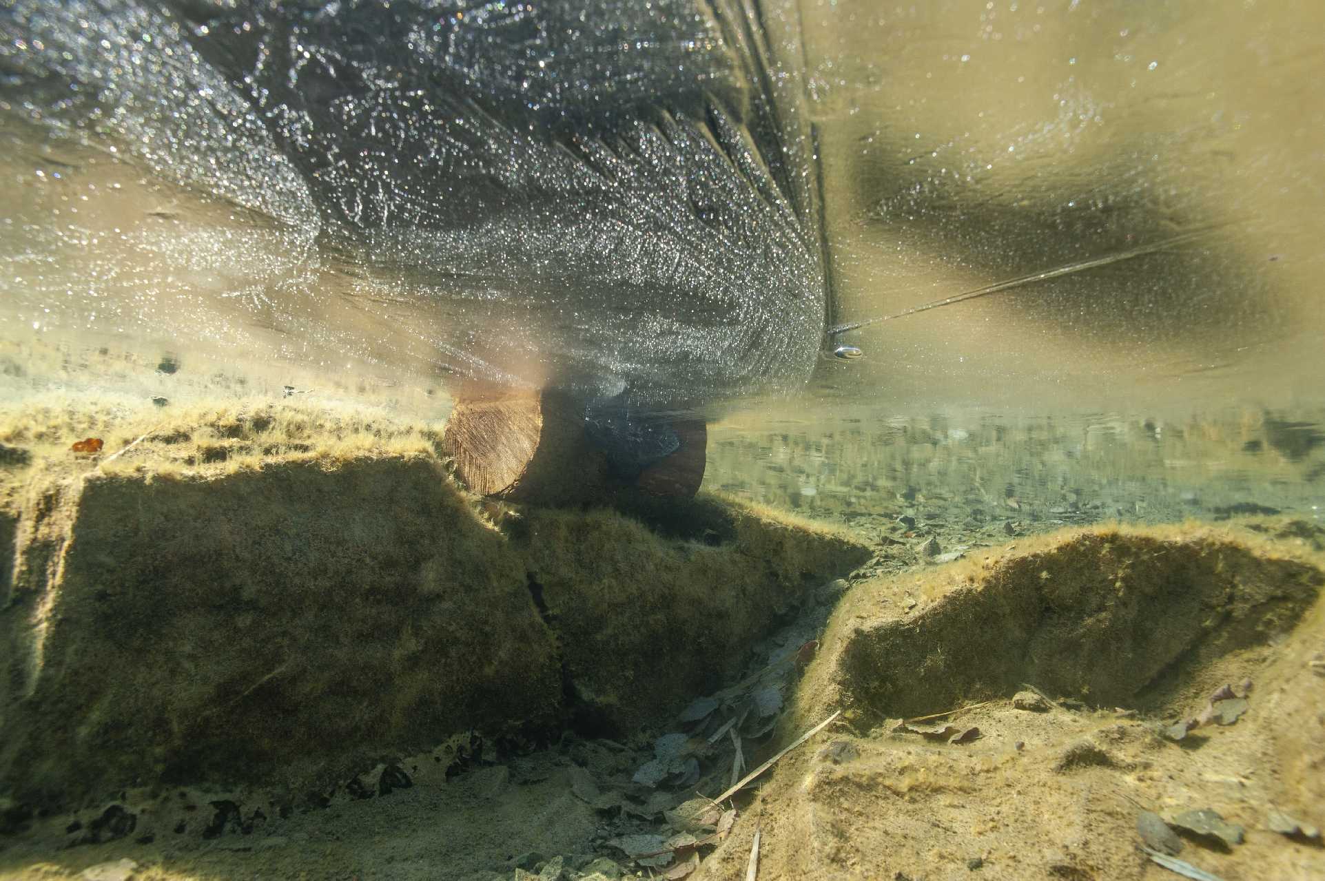 Březnové potápění - Foto Tomáš Kunze 0325 (3)