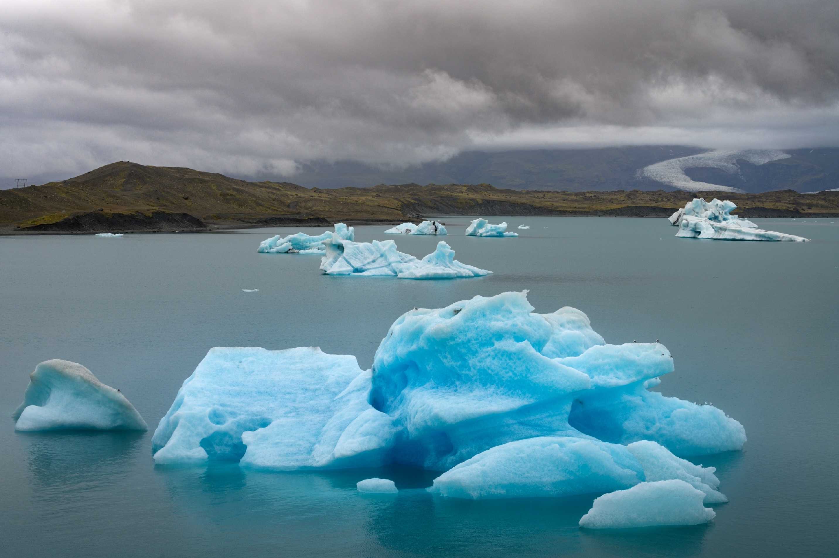 Jökulsárlón - ledovcová laguna - Foto Petr Kovář 1022