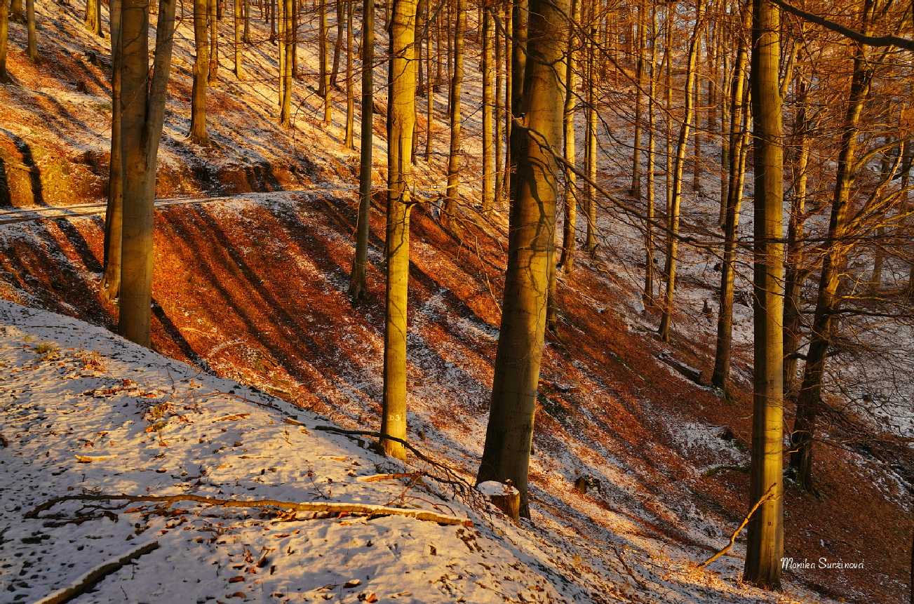 Lužické hory - Foto Monika Suržinová 0425 (3)