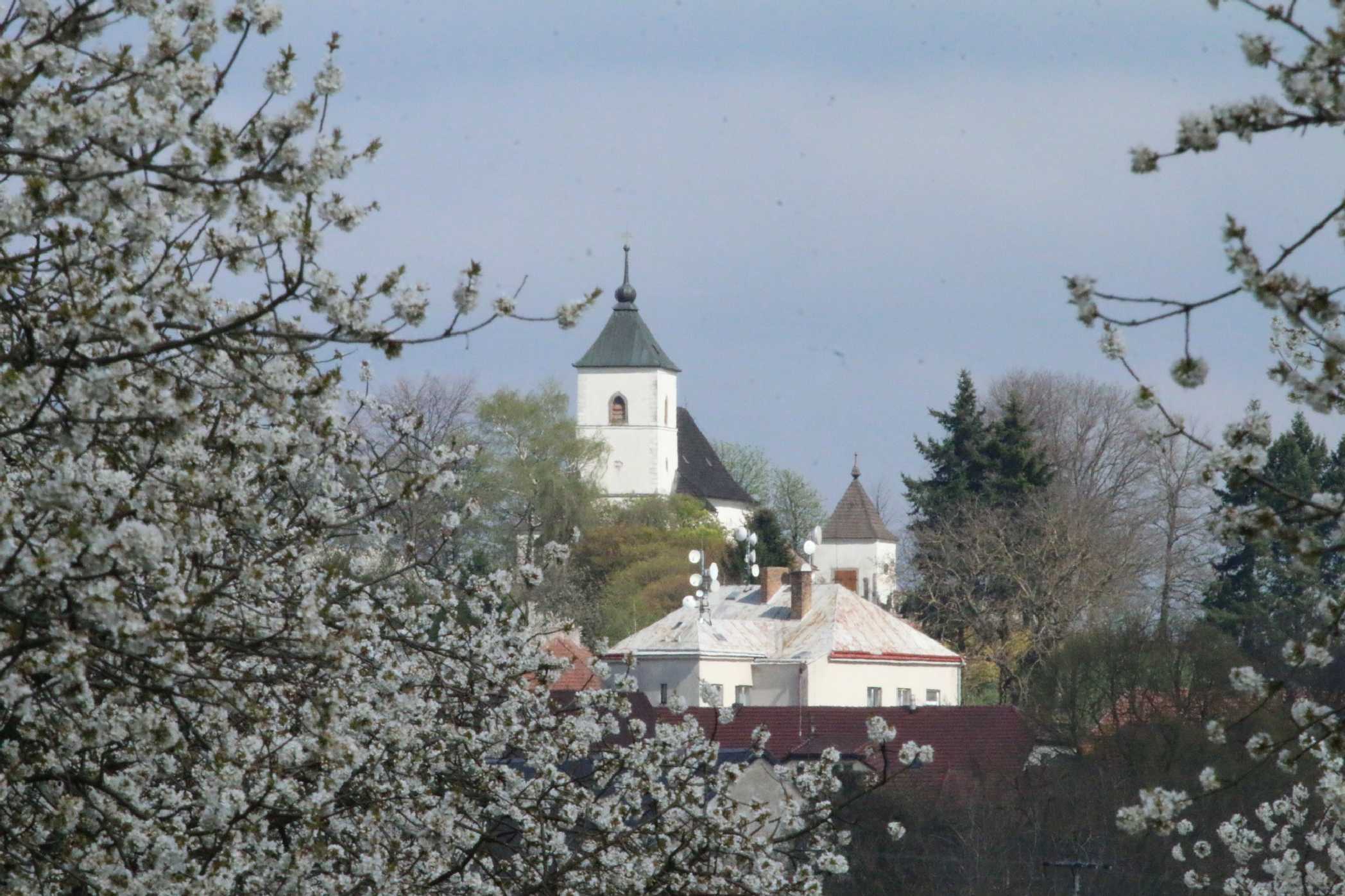 Kvetoucí Vysoké Studnice na Jihlavsku - Foto Ladislav Jonák 0425