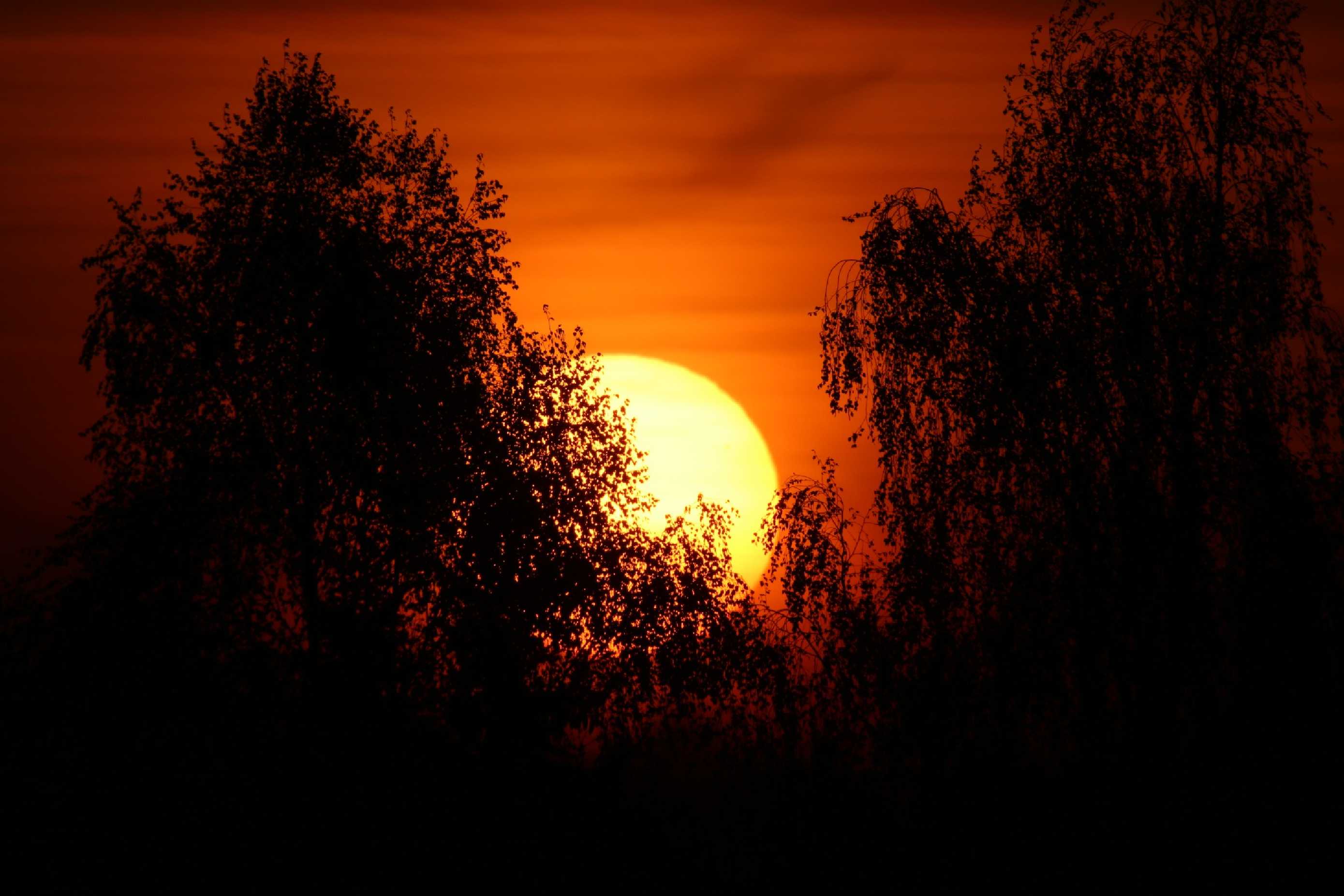 Sobotní dubnové ráno - Foto Ladislav Jonák 0425