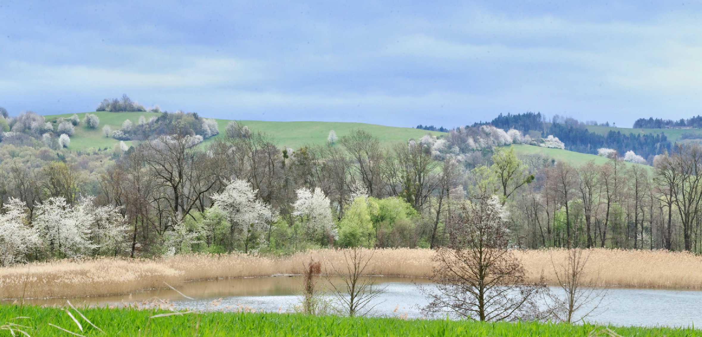 Valašsko - kvetoucí - Foto Ladislav Jonák 0425