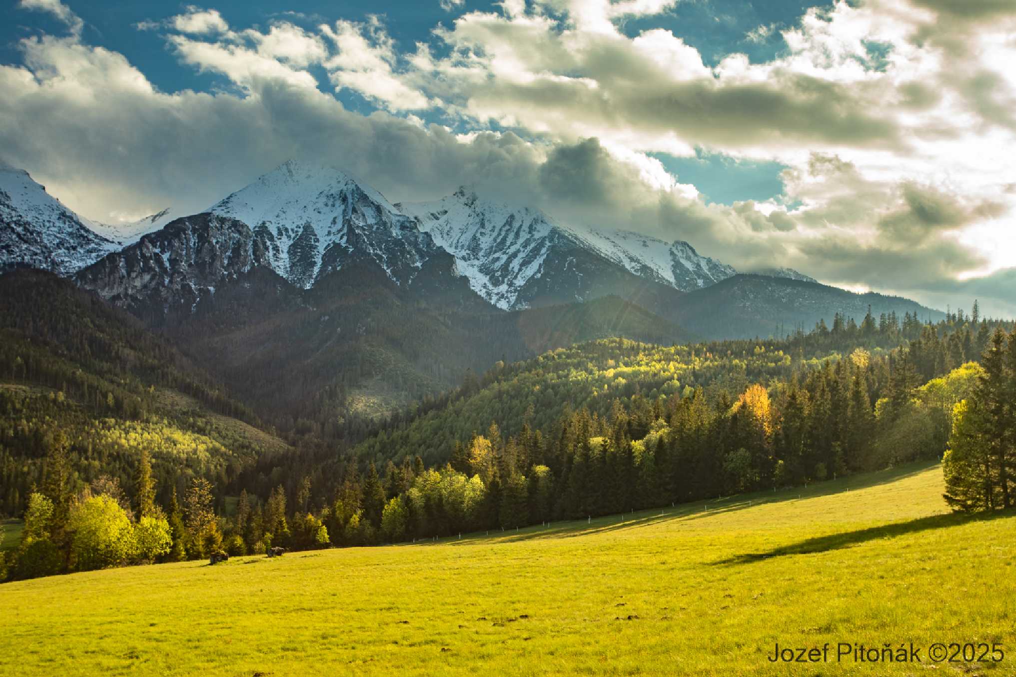 Horské májové louky - Foto Jozef Pitoňák 0525 (2)